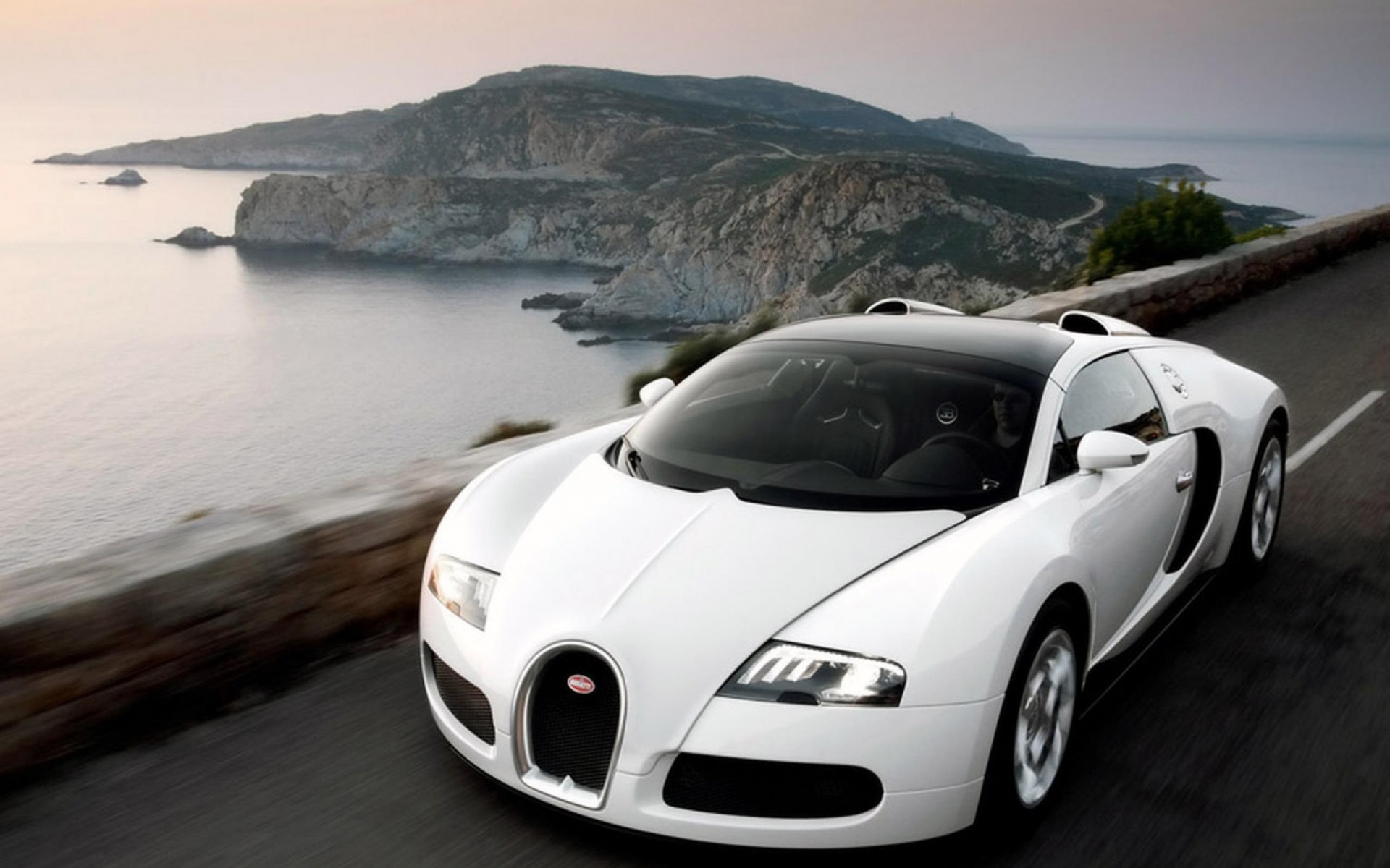 Картинки Bugatti, белый, авто, скорость фото и обои на рабочий стол