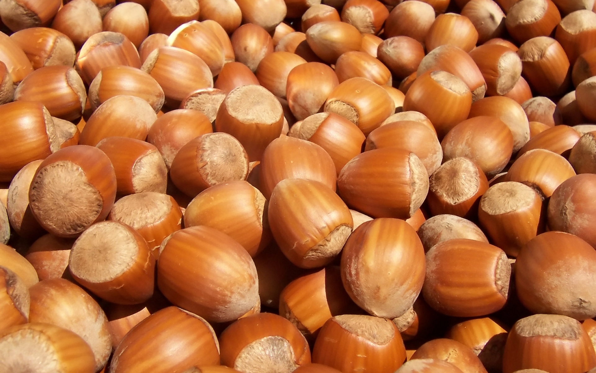 Картинки орехи, скорлупа, продукты питания фото и обои на рабочий стол