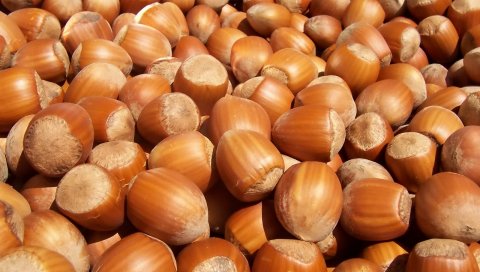 орехи, скорлупа, продукты питания