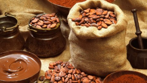 ущелье, река, горы, цветы, солнечные, камни