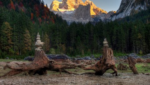 лес, гора, коряги, камни, пейзаж