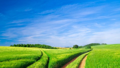 зеленая зона, Farmar, долина