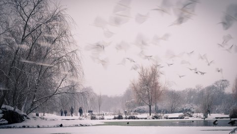 снег, природа, небо