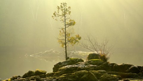 скалы, небо, трава