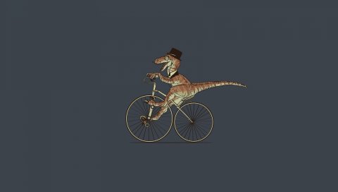 крокодил, езда, велосипед