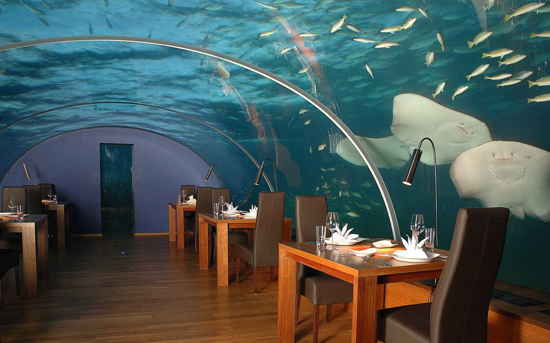 Необычные рестораны. Подводный ресторан Ithaa на Мальдивах. Ithaa Undersea Restaurant, остров Рангали, Мальдивы. Подводный ресторан на острове Рангали. Хилтон Мальдивы подводный ресторан.