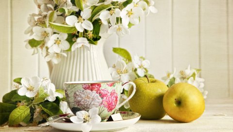 чашку, чай, жасмин, цветы, кувшин, яблоки, зеленый
