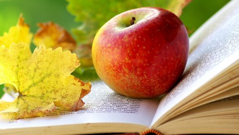 яблоко, книга, страницы, листья, осень