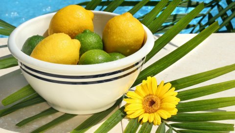 лимоны, лаймы , капли, цитрусовые, фрукты, пластины, цветок