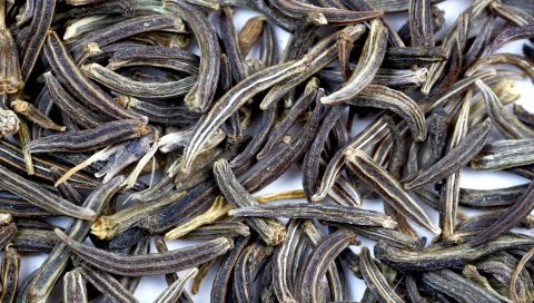 корни, продукты питания, вкусный