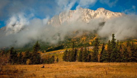 ель, деревья, туман, горы, осень, природа, облака