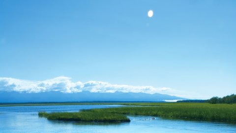 река, небо, трава