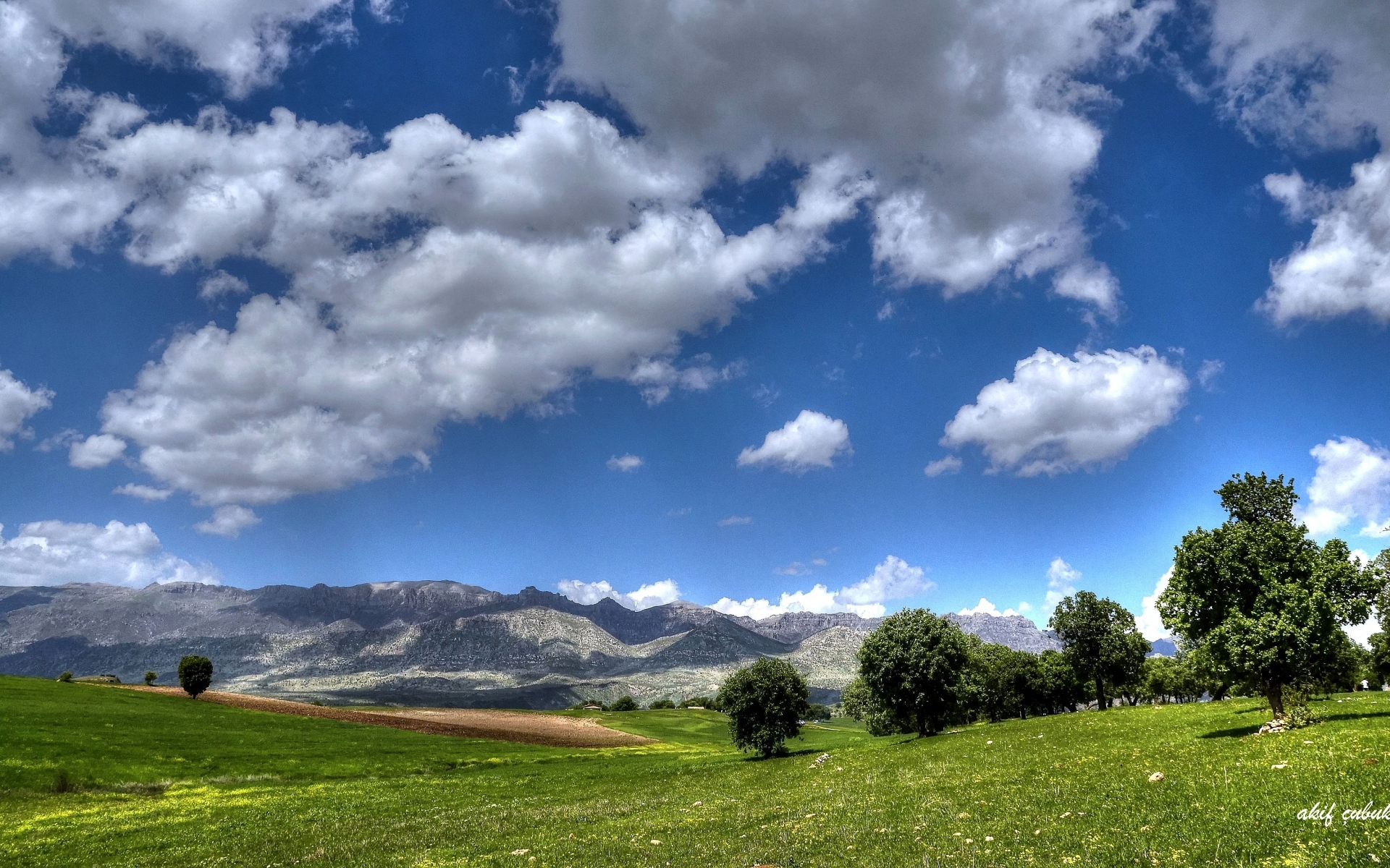 Картинки Поле, горы, деревья, пейзаж фото и обои на рабочий стол