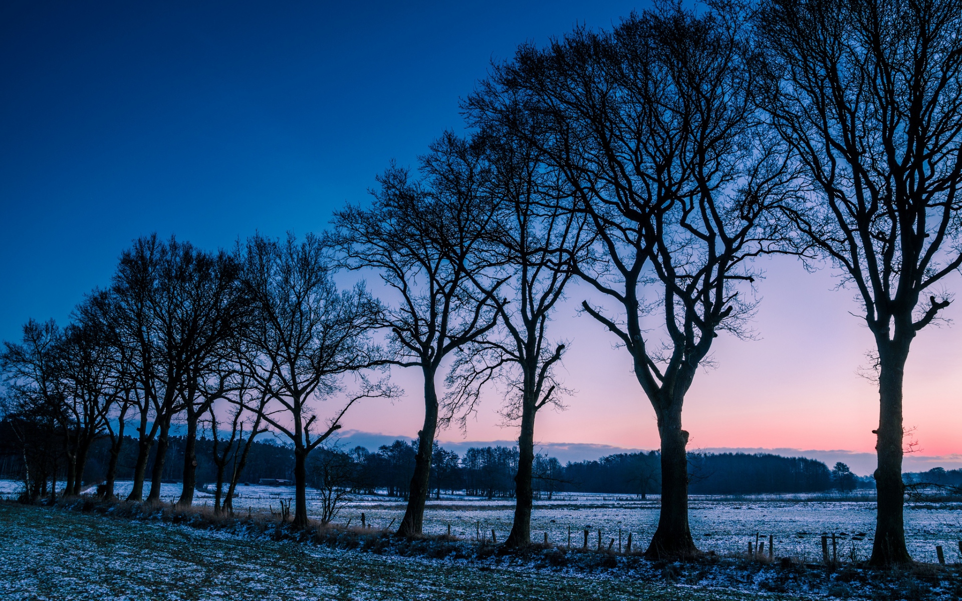 Картинки Норвегия, поле, луг, деревья, зима, мороз, утро, рассвет фото и обои на рабочий стол