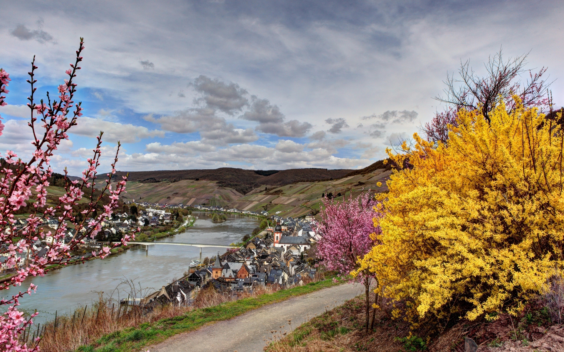 Картинки Германия, река, кустарники фото и обои на рабочий стол
