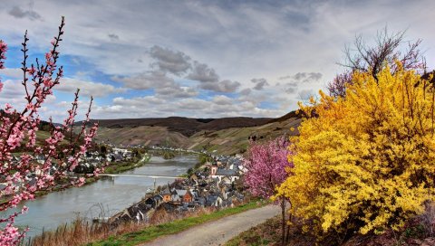 Германия, река, кустарники