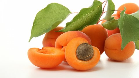 Фрукты, ветка, листья, абрикосы