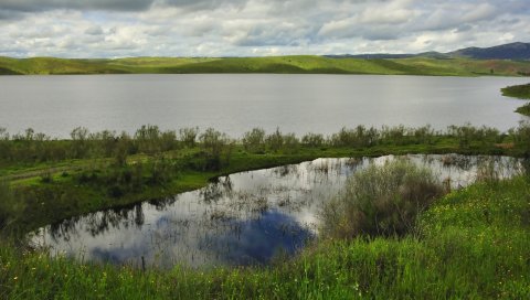 Озеро, пруд, небо, трава, природа