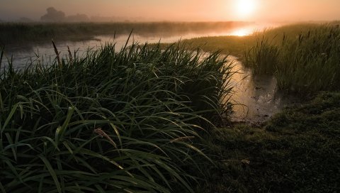 Закат, река, трава, природа