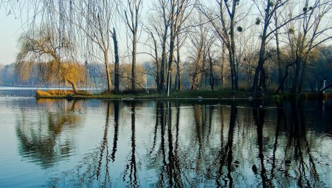 Весна, парк, деревья, вода, озеро