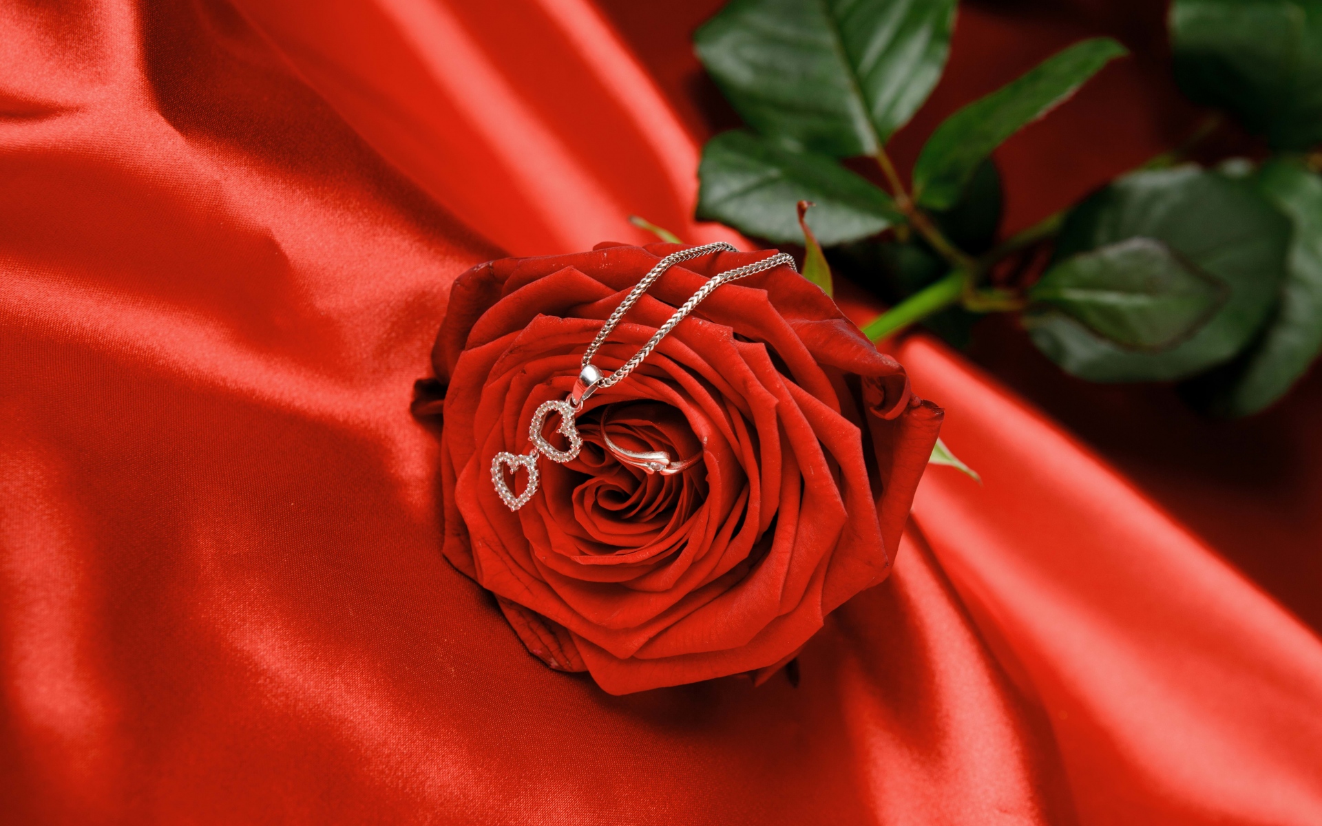 Картинки розы, цепь, сердце, цветок фото и обои на рабочий стол
