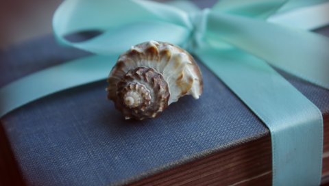 оболочки, книги, старый, подарок, лента, лук
