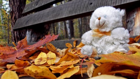 плюшевого мишки, игрушка, одиночество, осень, скамейка, листья