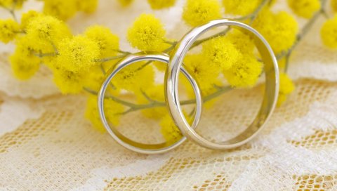 кольцо, мимозы, свадебные