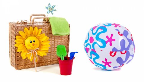 игрушки, мяч, сумку, полотенце, цветы,