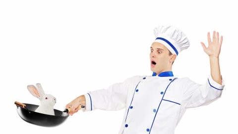 готовить, сковородку, кролик, шок, удивление