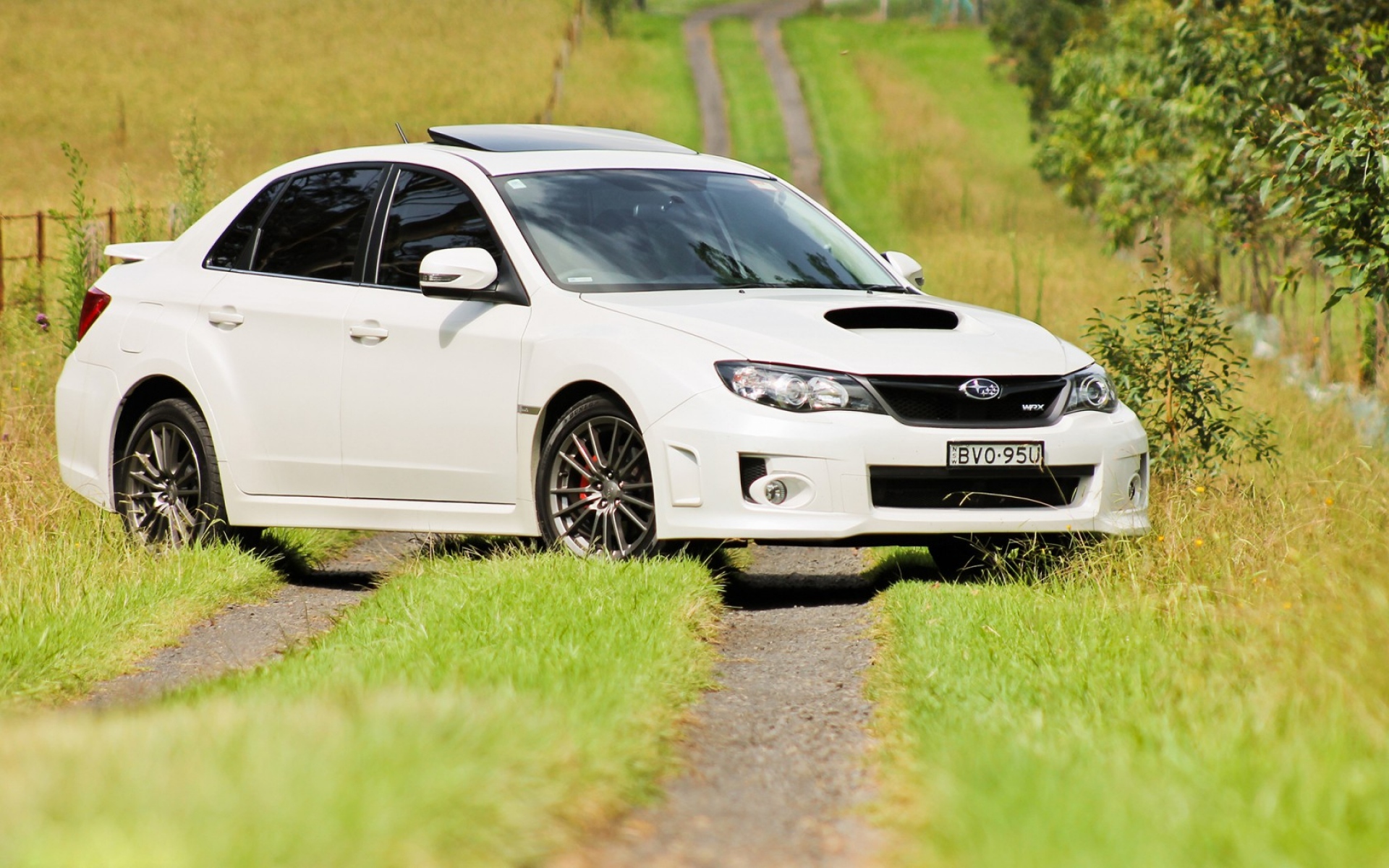Картинки Субару Impreza, белый, тропа, деревья, трава фото и обои на рабочий стол