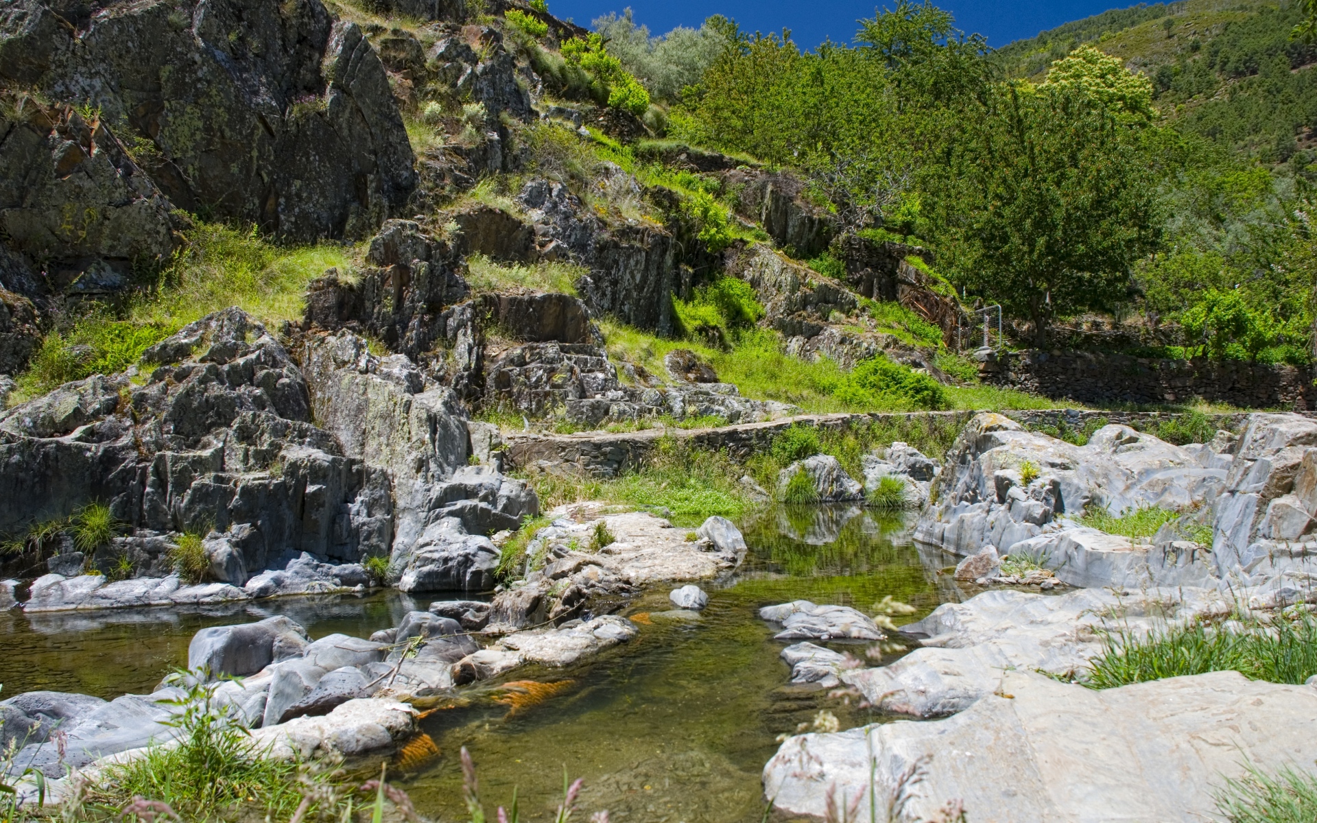 Картинки Река, горы, скалы, природа фото и обои на рабочий стол