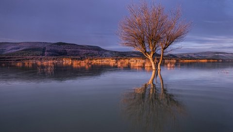 Холмы, озера, деревья, облака