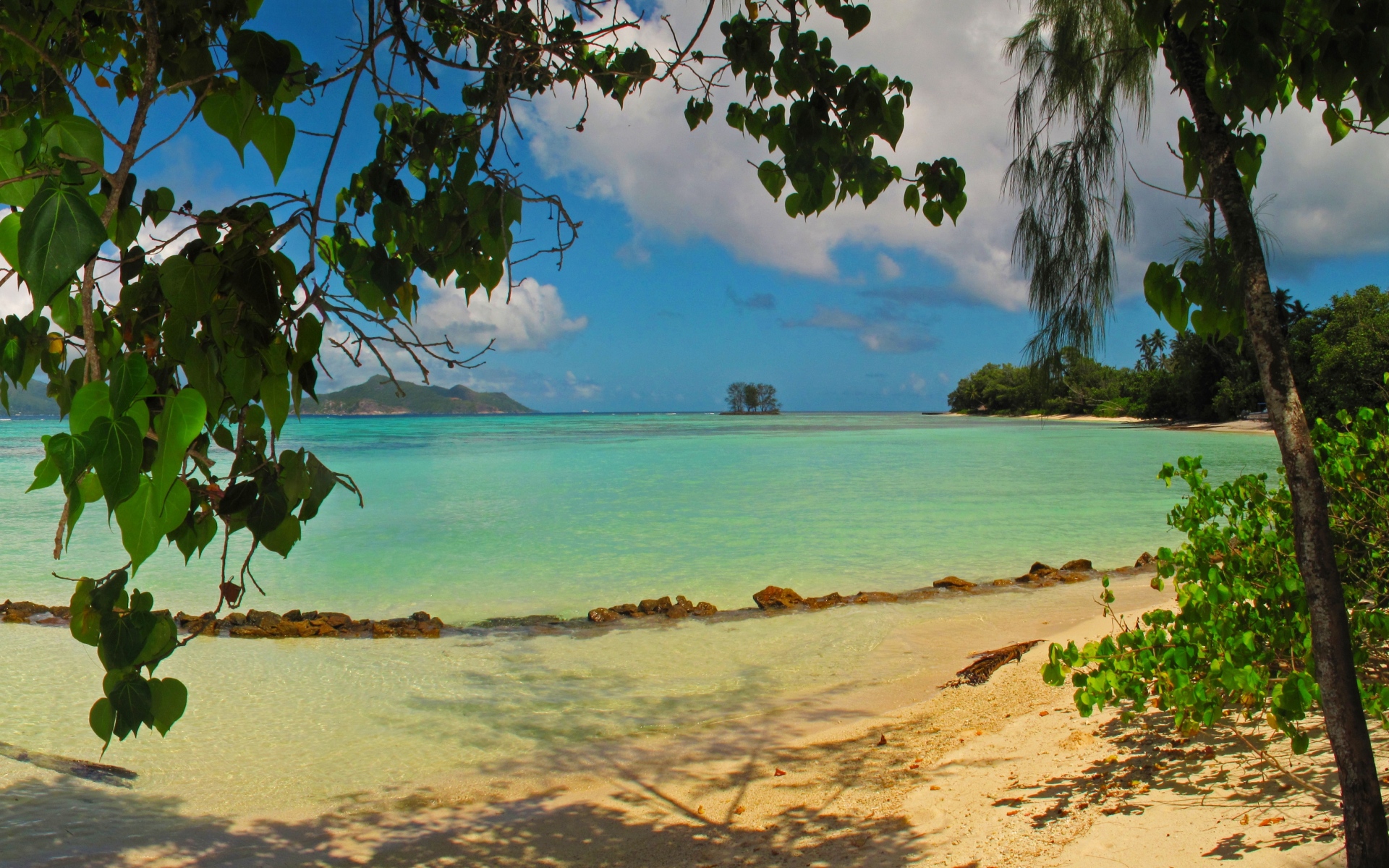 Картинки Пейзаж, море, seychelles la digue, пляж, листва, природа фото и обои на рабочий стол
