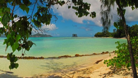 Пейзаж, море, seychelles la digue, пляж, листва, природа