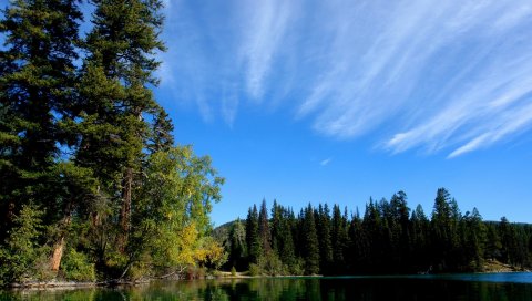 Лес, озеро, небо