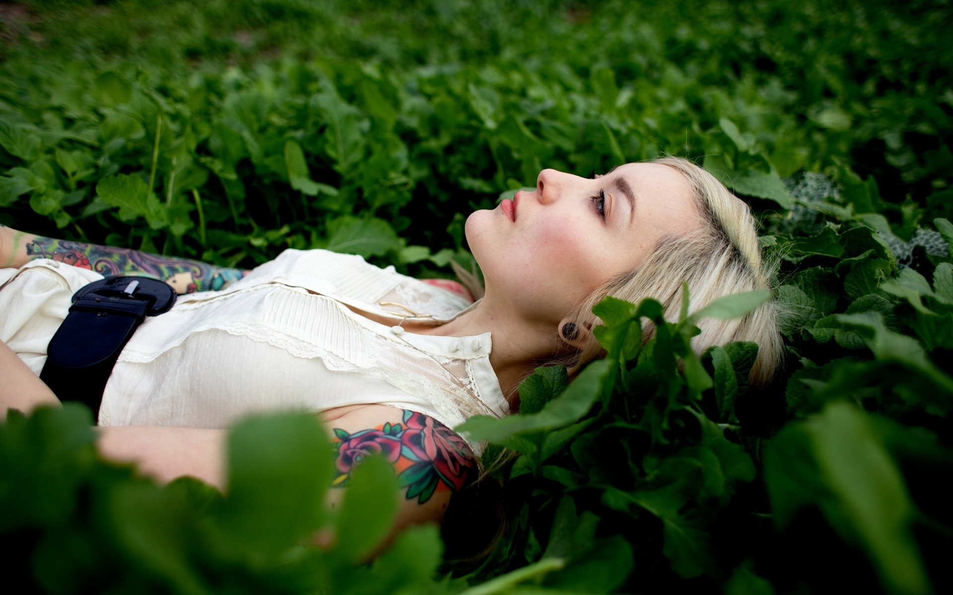 Блондинка лежит на траве