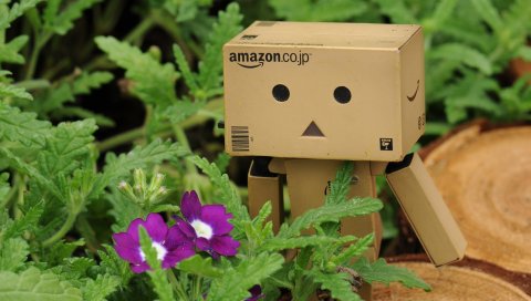 Danboard, коробка, робот, игрушка, цветы, трава, прогулка