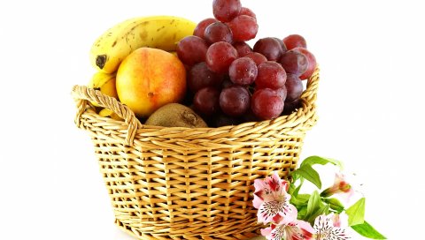 Фрукты, белый фон, корзина, орхидея