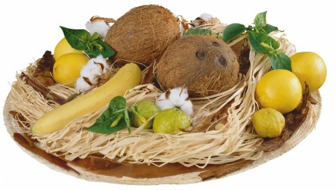 Плита, фрукты, лимоны, бананы, кокосы, на белом фоне, листья, солома