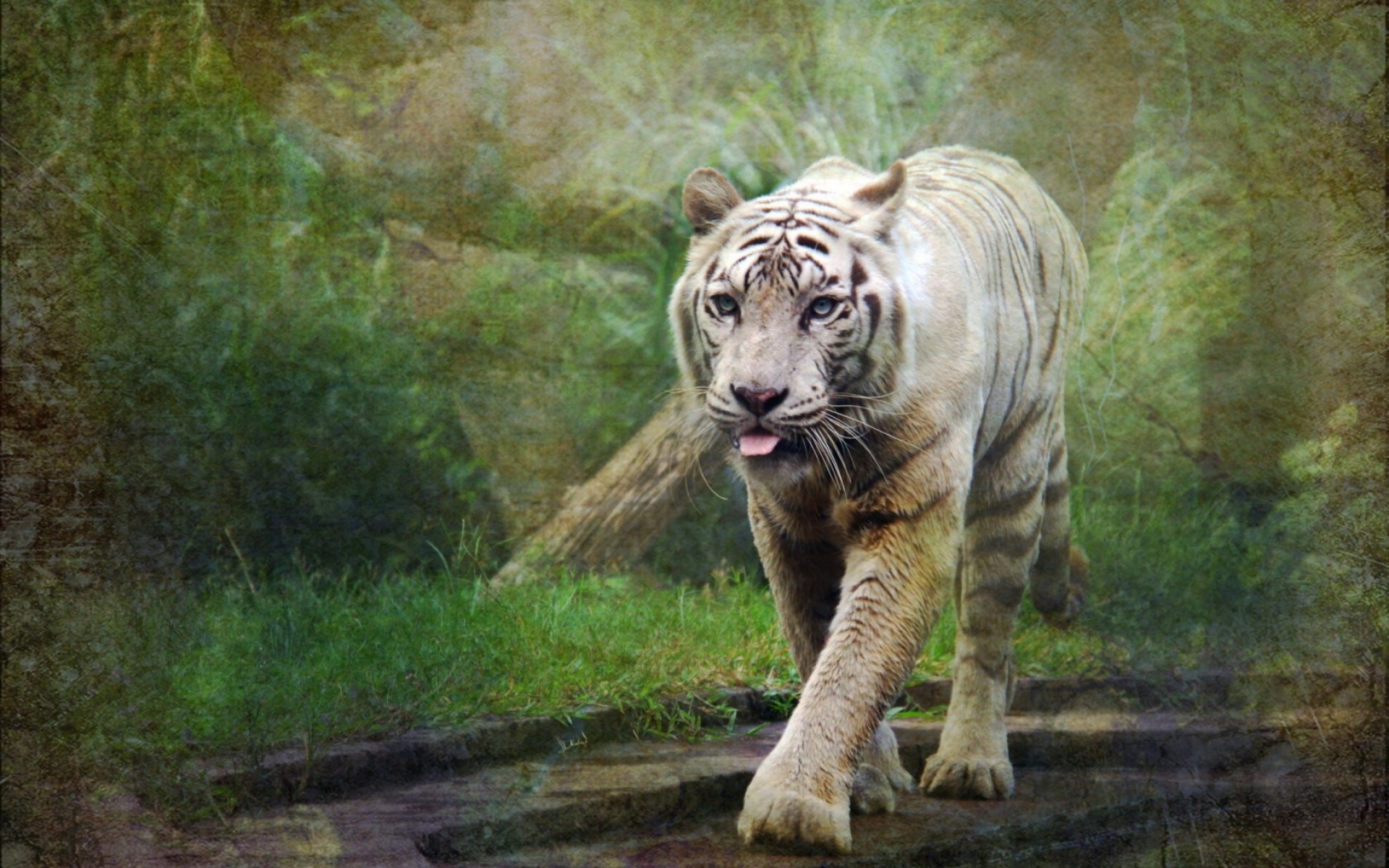 Картинки Тигр, природа, фон, стиль фото и обои на рабочий стол