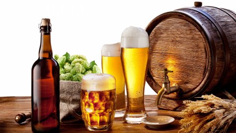 бочонок пива kuhol, бутылки, пена, хмель, ячмень, состав, белый фон
