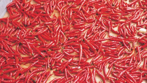 перец, кучи, фон, специя
