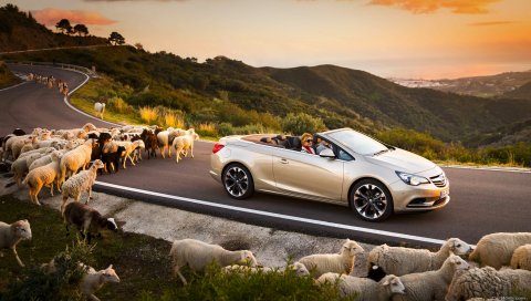 Opel Cascada, автомобили, овцы, дорога, закат