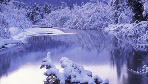 снег, белый, зима, природа, пейзаж