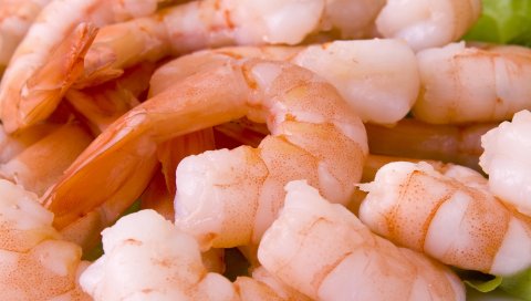креветки, блюда, морепродукты, капуста
