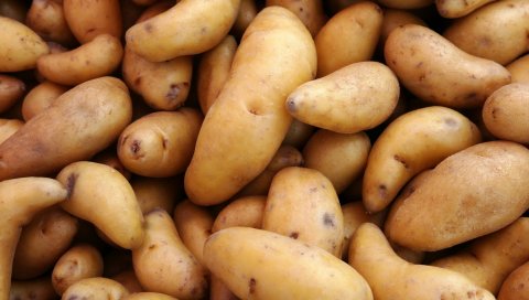 картофель, овощи, много