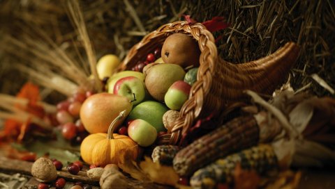 продукты питания, осень, урожай, состав