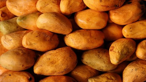 продуктов питания, картофель, вареные