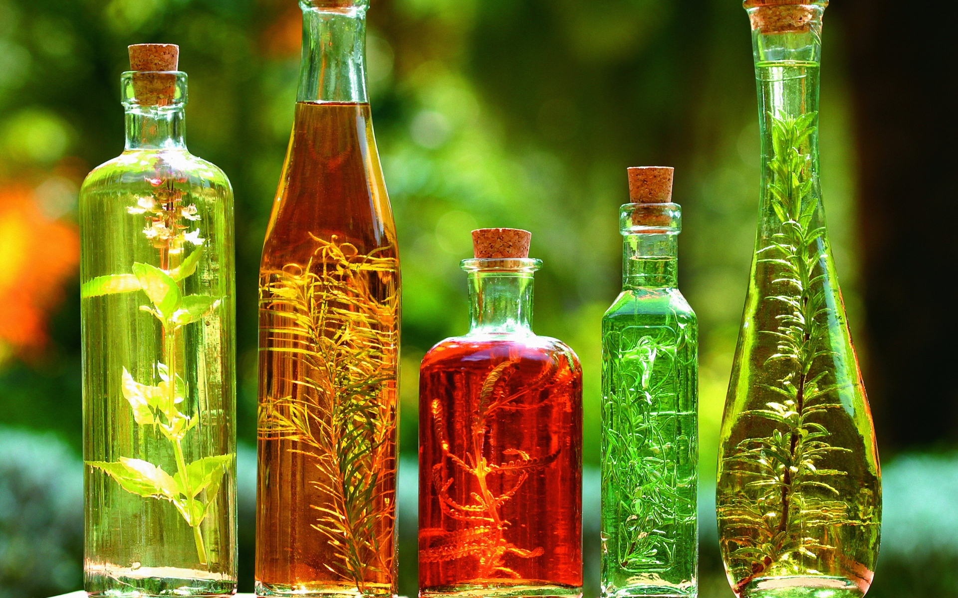 Картинки бутылки, масло, растения, зеленый фон фото и обои на рабочий стол